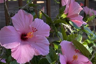 4220 Central Sarasota Pkwy, Sarasota, FL 34238 - Photo 58