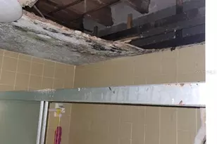 402 E Westchester Ct, Tampa, FL 33604 - Photo 14