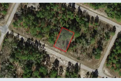 8881 N Vienna Drive, Dunnellon, FL 34433 - Photo 4