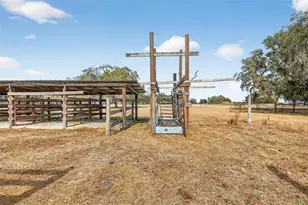 4533 SW 37th Terrace, Bushnell, FL 33513 - Photo 48