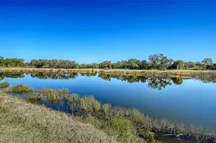 9447 Forest Hills Cir, Sarasota, FL 34238 - Photo 14