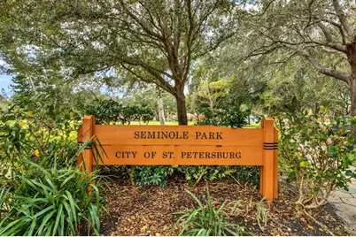 911 29th Street N, Saint Petersburg, FL 33713 - Photo 32