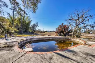 30352 Betts Rd, Myakka City, FL 34251 - Photo 36