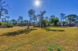 30352 Betts Rd, Myakka City, FL 34251 - Photo 42