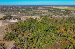 30352 Betts Rd, Myakka City, FL 34251 - Photo 50