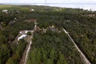 0 N 305th Terrace, Fort Mc Coy, FL 32134 - Photo 1