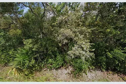 755 S Cedar Avenue, Orange City, FL 32763 - Photo 2