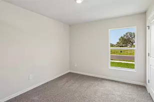 17938 Wheat Stack Ct, Parrish, FL 34219 - Photo 16