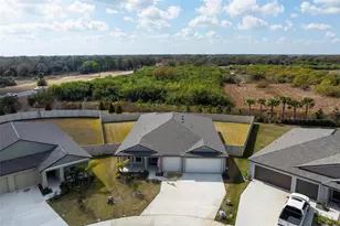 13156 Shimmering Amethyst Ct, Parrish, FL 34219 - Photo 38