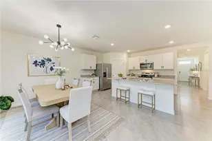 17250 Wheatberry Blvd, Parrish, FL 34219 - Photo 8