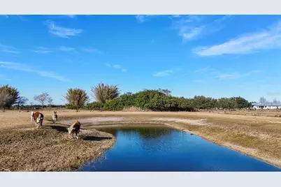 14325 Mj Road, Myakka City, FL 34251 - Photo 68