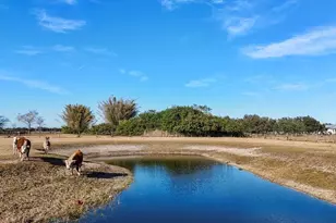 14325 MJ Rd, Myakka City, FL 34251 - Photo 68