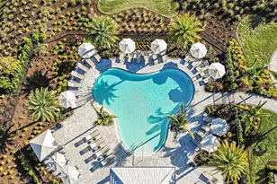 3214 Alba Cir, Bradenton, FL 34211 - Photo 28