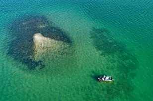 324 Bayshore Dr, Osprey, FL 34229 - Photo 40