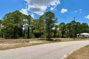 668 Lake Tina Dr, Lake Placid, FL 33852 - Photo 1