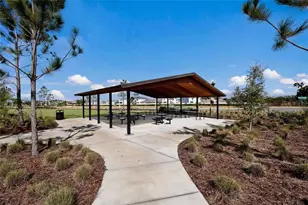 5552 Blue Azure Dr, Wimauma, FL 33598 - Photo 58