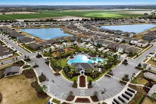 5552 Blue Azure Dr, Wimauma, FL 33598 - Photo 42