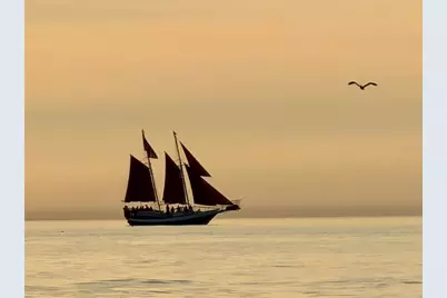 200 140th Avenue E #W, Madeira Beach, FL 33708 - Photo 30