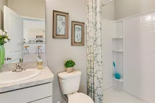 4407 Silver Birch Ct Ct, Palmetto, FL 34221 - Photo 18