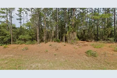 11033 N Trigger Terrace, Citrus Springs, FL 34433 - Photo 4