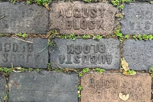 1330 Cherry St NE, Saint Petersburg, FL 33701 - Photo 8