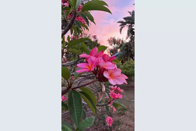 2225 Valencia Drive, Sarasota, FL 34239 - Photo 32