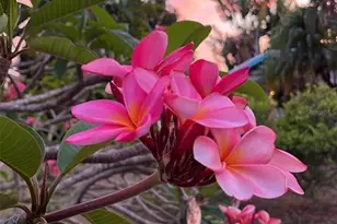 2225 Valencia Dr, Sarasota, FL 34239 - Photo 32