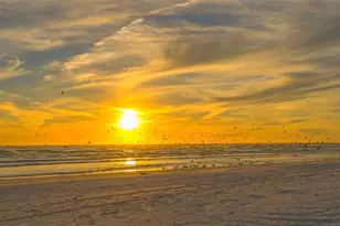 2904 Homasassa Rd, Sarasota, FL 34239 - Photo 42