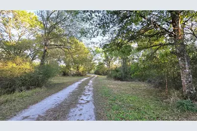 36442 Singletary Road, Myakka City, FL 34251 - Photo 20