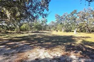 36442 Singletary Rd, Myakka City, FL 34251 - Photo 24