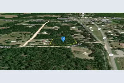 200 NE Poppy Trail, Pinetta, FL 32350 - Photo 2