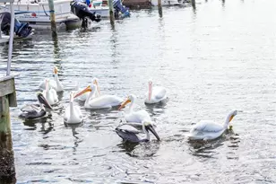 10315 Cortez Road W, Bradenton, FL 34210 - Photo 20