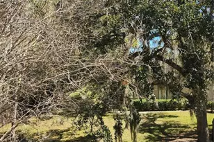 3439 Tallywood Ln, Sarasota, FL 34237 - Photo 20