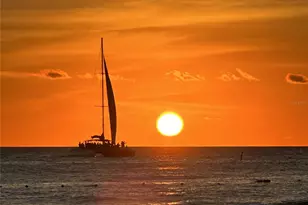 1300 Benjamin Franklin Dr, Sarasota, FL 34236 - Photo 52