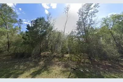5600 N US Hwy 17, De Leon Springs, FL 32130 - Photo 2