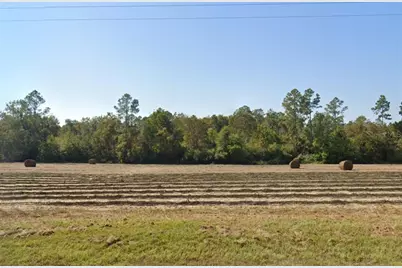 3835 Peanut Road, Cottondale, FL 32431 - Photo 2