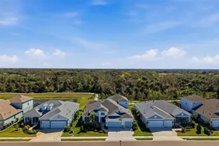 14307 Skipping Stone Loop, Parrish, FL 34219 - Photo 58