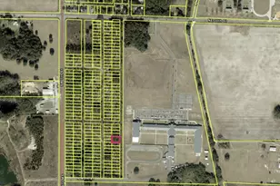 0 SW 19th Ave, Williston, FL 32696 - Photo 1