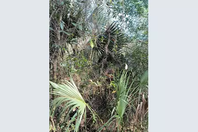 000 First Street, Hawthorne, FL 32640 - Photo 14