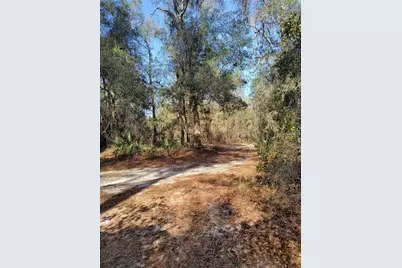 000 First Street, Hawthorne, FL 32640 - Photo 6