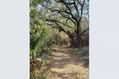 000 First Street, Hawthorne, FL 32640 - Photo 8