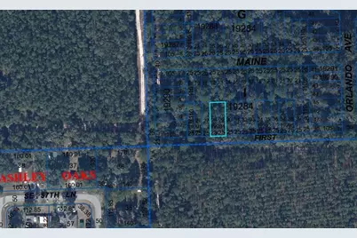 000 First Street, Hawthorne, FL 32640 - Photo 1