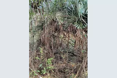 000 First Street, Hawthorne, FL 32640 - Photo 12