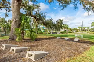 10934 Sand Pine Ln, Parrish, FL 34219 - Photo 28