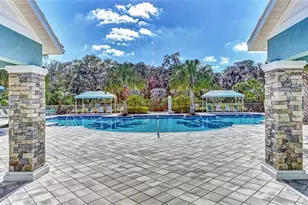 10934 Sand Pine Ln, Parrish, FL 34219 - Photo 62
