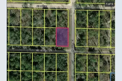 0 NE 16th Place, Williston, FL 32696 - Photo 1