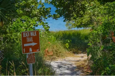 4517 Pinfish Lane, Palmetto, FL 34221 - Photo 76