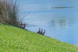 2928 Seasons Blvd, Sarasota, FL 34240 - Photo 50