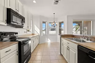 17343 Lawn Orchid Loop, Land O Lakes, FL 34638 - Photo 26