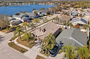 17343 Lawn Orchid Loop, Land O Lakes, FL 34638 - Photo 6